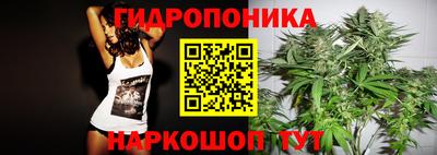 сатива Коммунар