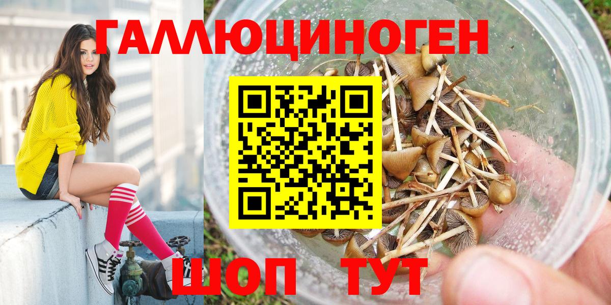 Галлюциногенные грибы Magic Shrooms Кохма