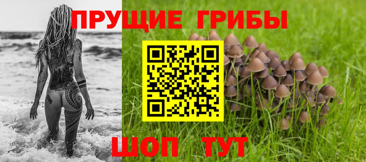 Кохма  Псилоцибиновые грибы Cubensis  Галлюциногенные грибы Psilocybine cubensis  что такое наркотик  Вход с VPN 